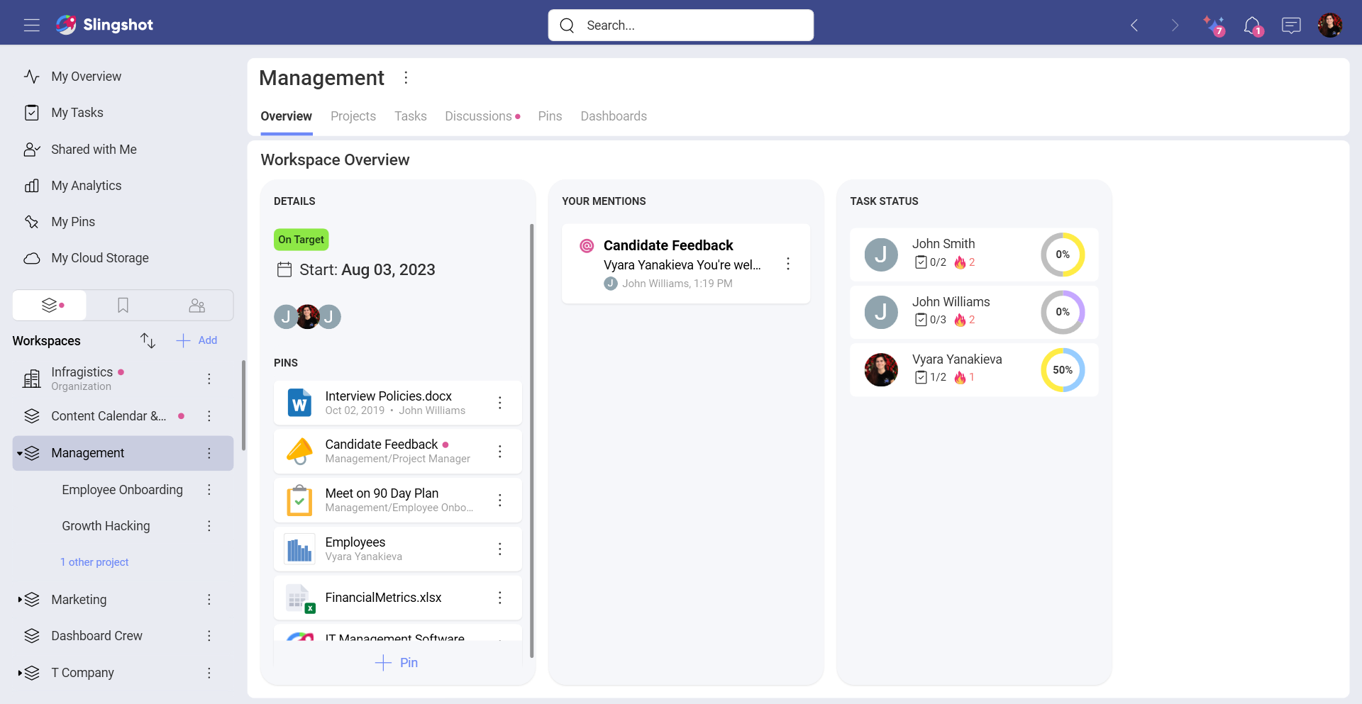 Workspace Overview within Slingshot